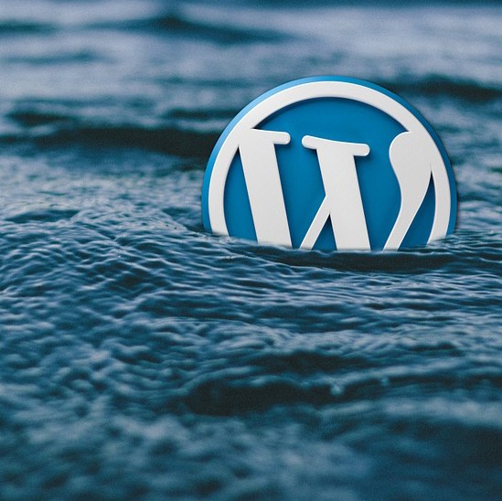🚨 Опасный «призрак» в WordPress: как я нахожу и обезвреживаю скрытые плагины, которые губят ваш сайт